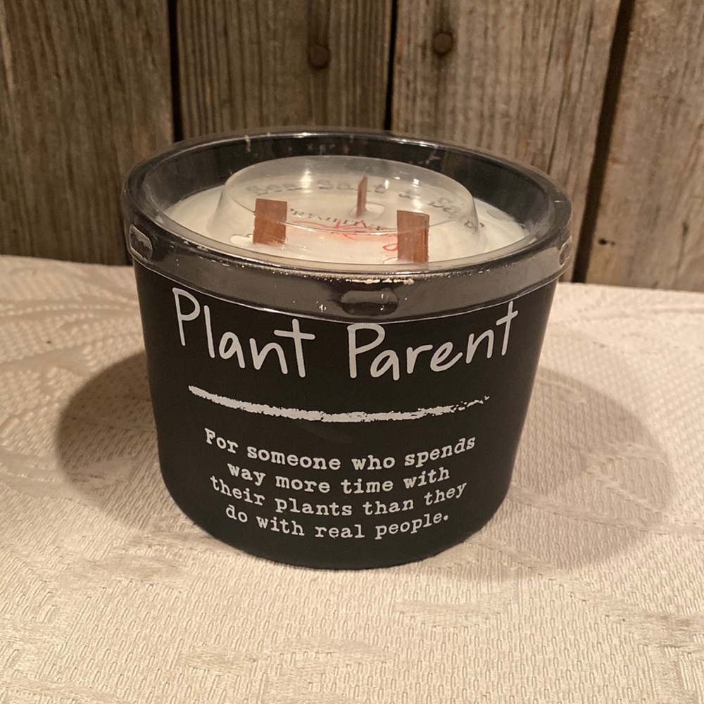 Primatives by Kathy Sea Salt & Sage Soy candle PLANT PARENT